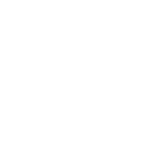 swartz and swartz icon