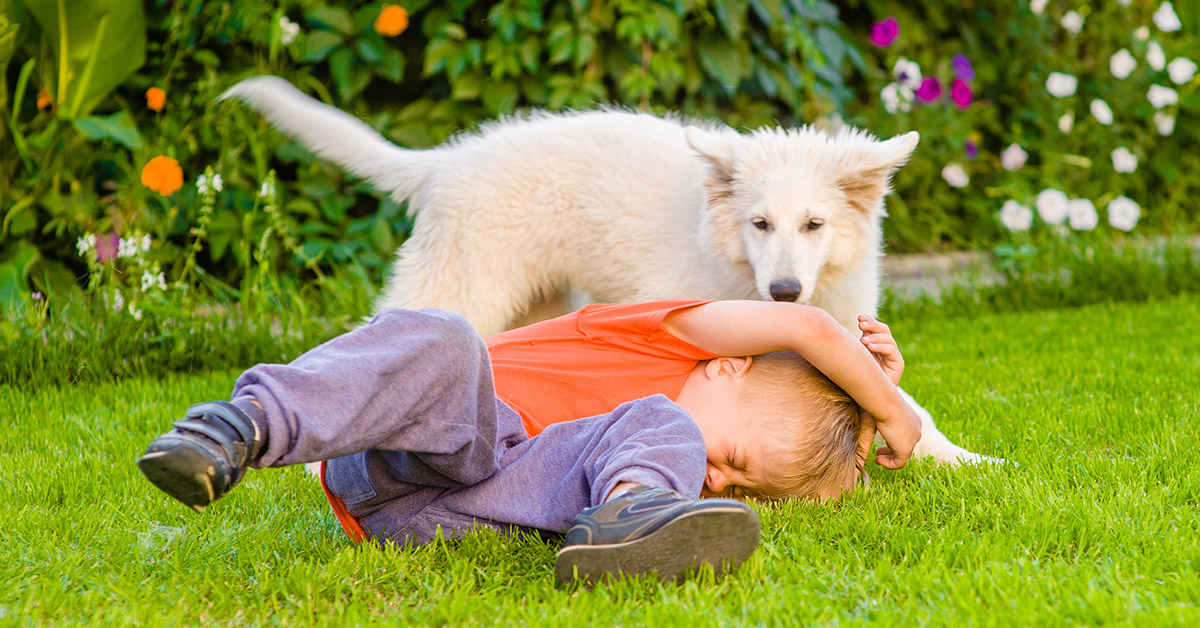 A friendly dog bites a child at a party